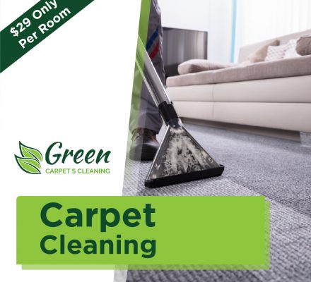 carpet cleaner carpet cleaner